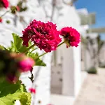 Saint Andrea Seaside - Adults Only Naousa (Paros)