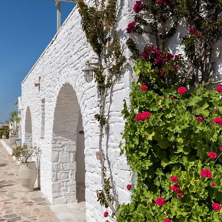 Hotel Saint Andrea Seaside - Adults Only Naousa (Paros)