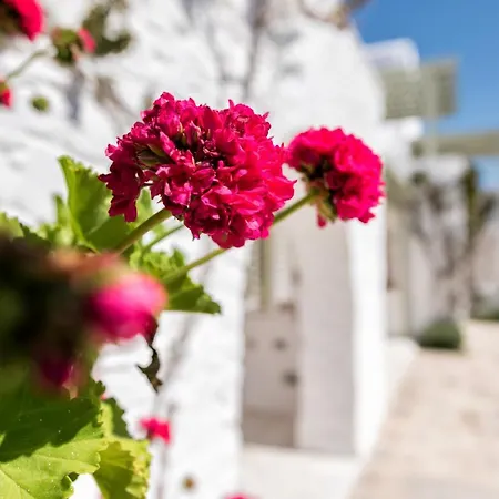Saint Andrea Seaside - Adults Only נאוסה
