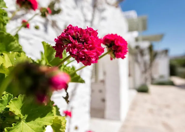 Saint Andrea Seaside - Adults Only Naousa (Paros)